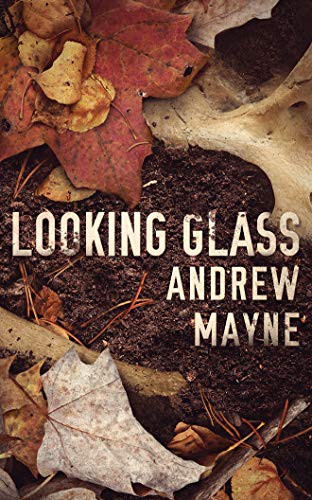 Will Damron, Andrew Mayne: Looking Glass (AudiobookFormat, Brilliance Audio)