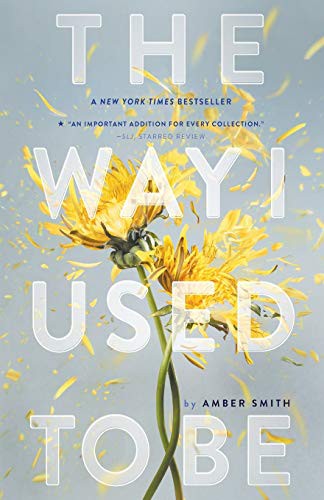 Amber Smith: The Way I Used to Be (Paperback, 2017, Margaret K. McElderry Books)