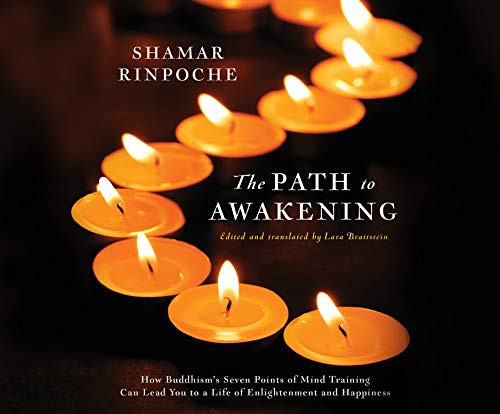 Leslie Howard, Shamar Rinpoche: The Path to Awakening (AudiobookFormat, 2019, Dreamscape Media)