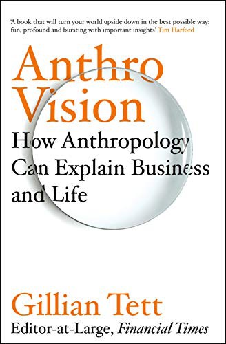 Gillian Tett: Anthro-Vision (Paperback)