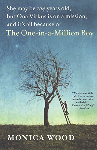 Monica Wood: The One-In-A-Million Boy (Hardcover, 2017, Turtleback)