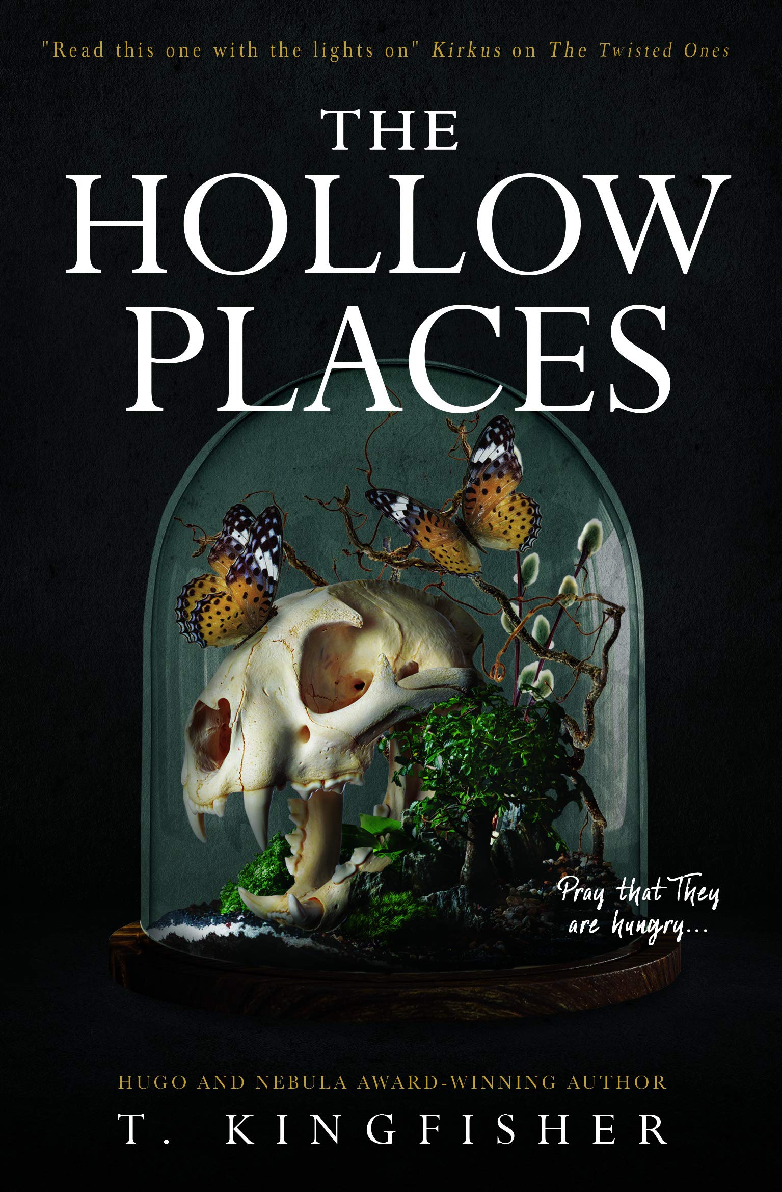T. Kingfisher, .: The Hollow Places (2020)