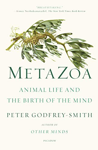 Peter Godfrey-Smith: Metazoa (Paperback, 2021, Picador)