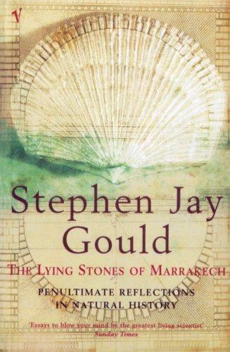 Stephen Jay Gould: The Lying Stones of Marrakech: Penultimate Reflections in Natural History (Paperback, 2001, Vintage/Ebury (a Division of Random)