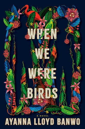 Ayanna Lloyd Banwo: When We Were Birds (2022, Knopf Doubleday Publishing Group, Doubleday)