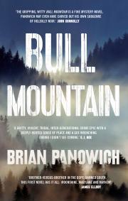 Brian Panowich: Bull Mountain (2015)
