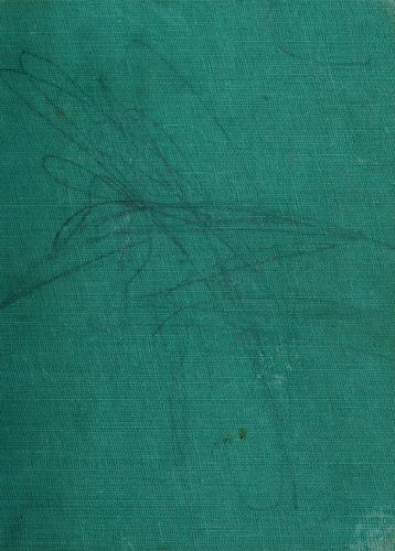 Frances Hodgson Burnett: Racketty-packetty house (1961, Dodd, Mead)