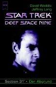 Jeffrey Lang, David Weddle: Star Trek. Deep Space Nine 29. Der Abgrund. Section 31. (Paperback, German language, 2002, Heyne)