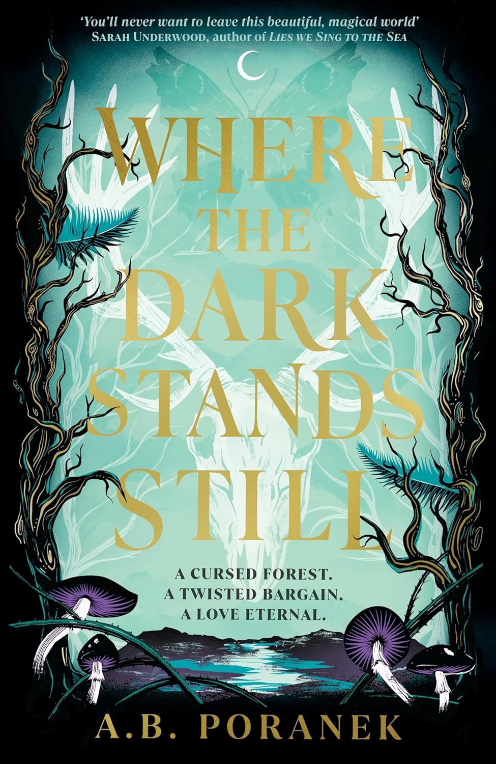A. B. Poranek: Where the Dark Stands Still (2024, McElderry Books, Margaret K.)