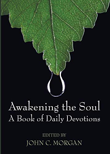 John C. Morgan: Awakening the Soul (Paperback, 2015, Wipf and Stock, Wipf & Stock Pub)