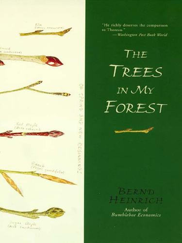 Bernd Heinrich: The Trees in My Forest (EBook, 2007, HarperCollins)