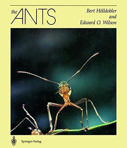 Bert Hölldobler, Edward O. Wilson: The Ants (German language, 1998)