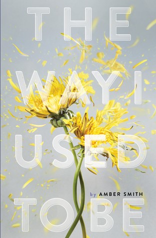 Amber Smith: The Way I Used To Be (2016, Margaret K. McElderry Books)