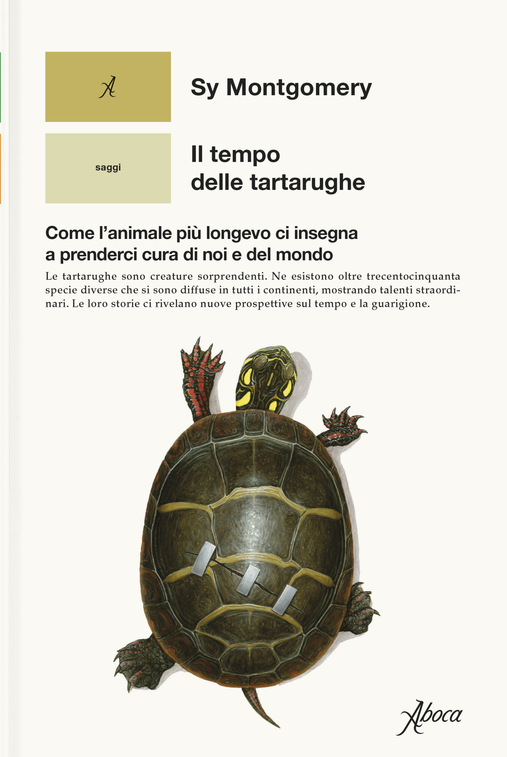 Sy Montgomery: Il tempo delle tartarughe (Aboca)