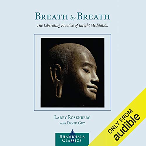 Jon Kabat-Zinn, Larry Rosenberg, David Guy: Breath by Breath (AudiobookFormat, 2014, Audible Studios)