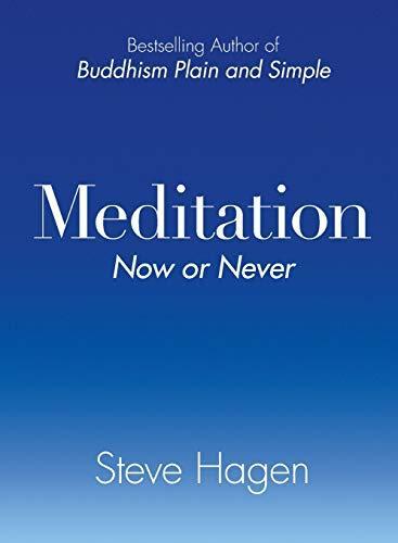 Steve Hagen: Meditation Now or Never (2007)