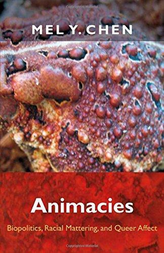 Mel Y. Chen: Animacies (2012)