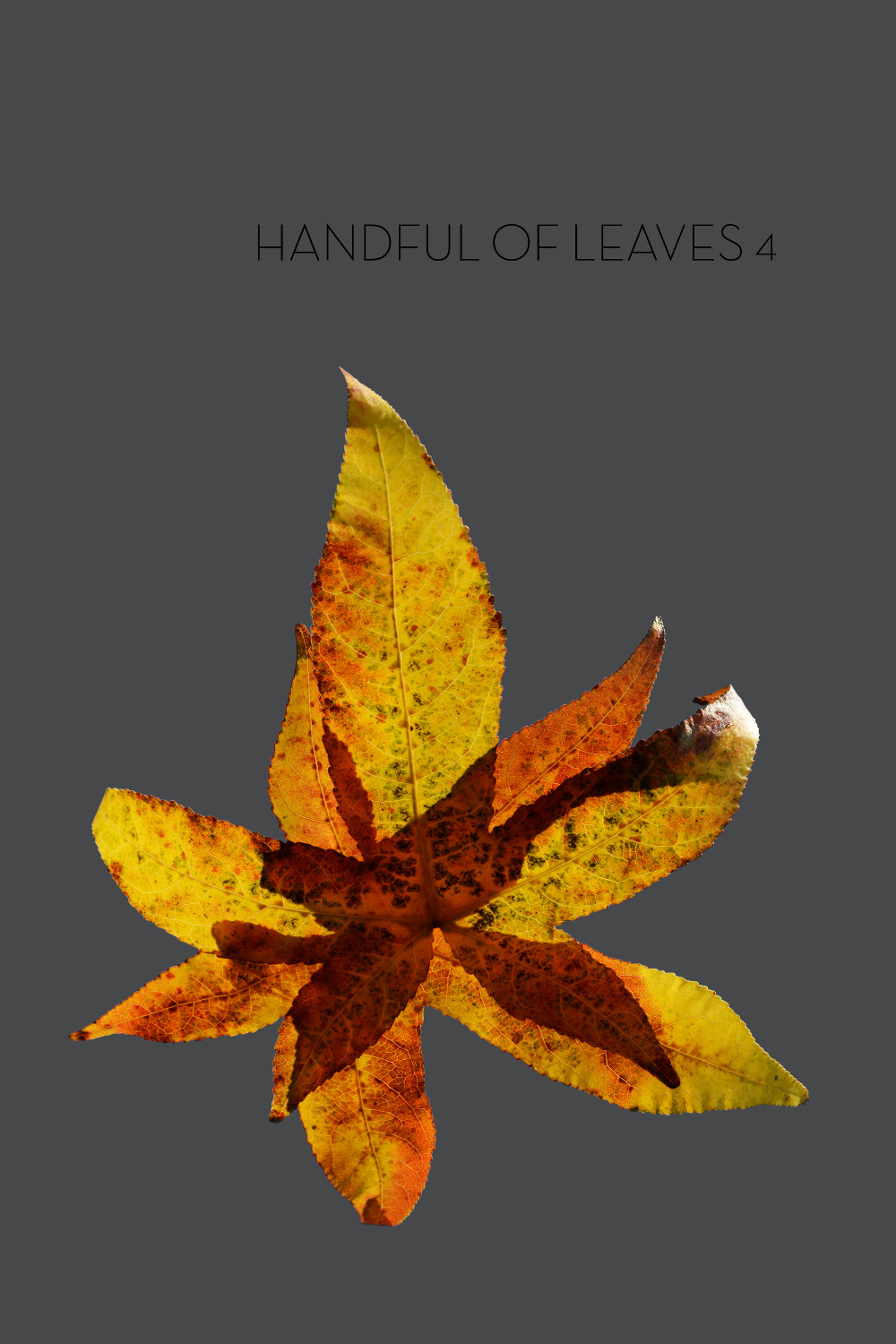Ṭhānissaro Bhikkhu: Handful of Leaves, Volume IV: an Anthology from the Aṅguttara Nikāya (2021, Metta Forest Monastery)
