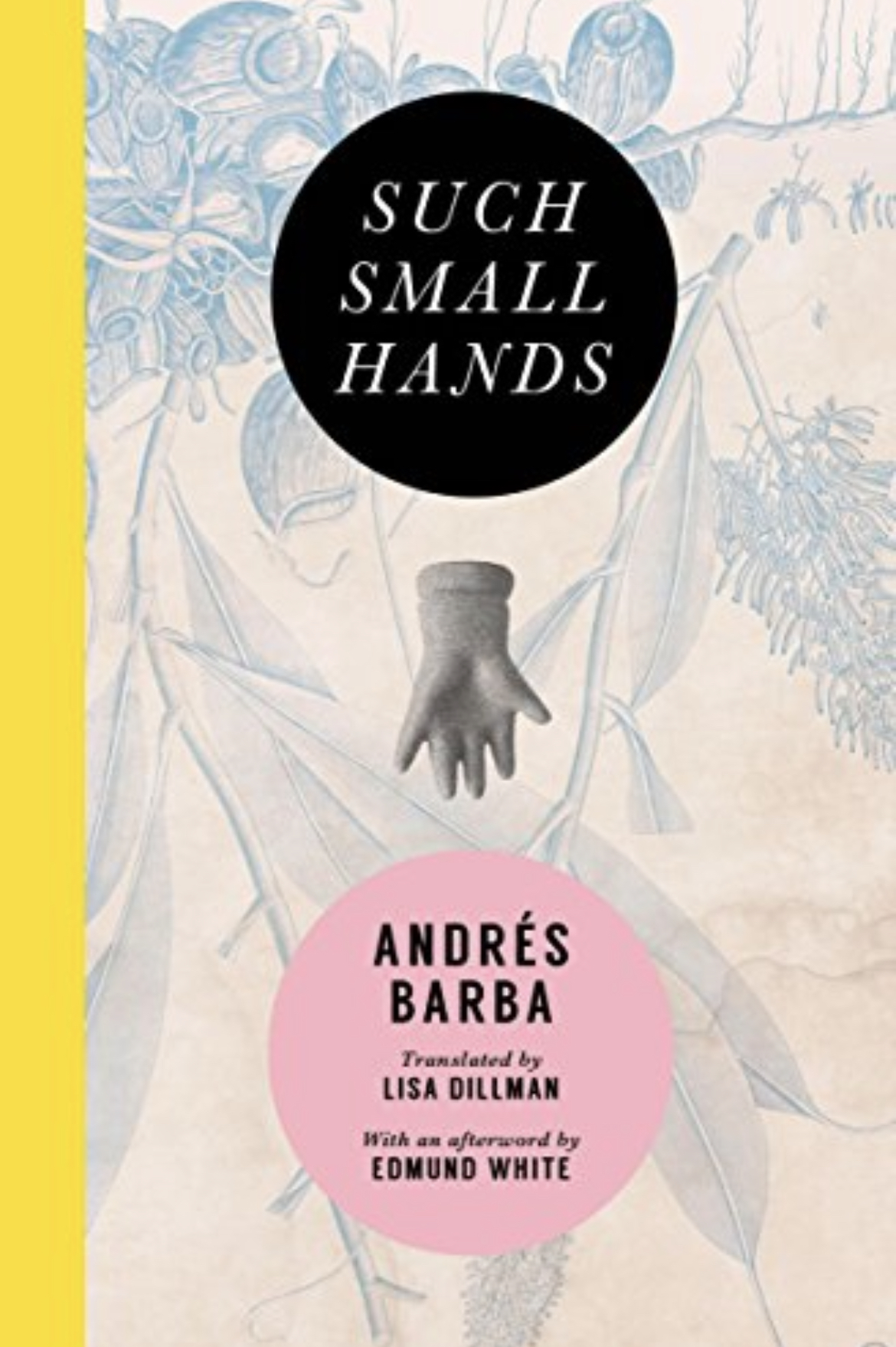 Andrés Barba: Such small hands (2017)