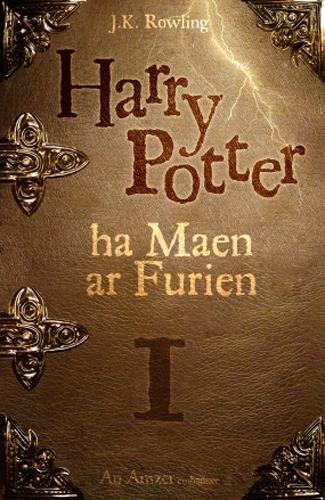 J.K. Rowling: Harry Poter ha Maen ar Furien (French language)