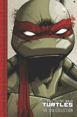 Brian Lynch, Sophie Campbell, Mateus Santolouco, Dan Duncan, Franco Urru, Valerio Schiti, Erik Burnham, Andy Kuhn, Charles Paul Wilson: Teenage Mutant Ninja Turtles: The IDW Collection Volume 1 (2015)