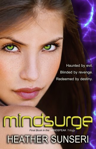 Heather Sunseri: Mindsurge (Paperback, 2014, Heather Sunseri)
