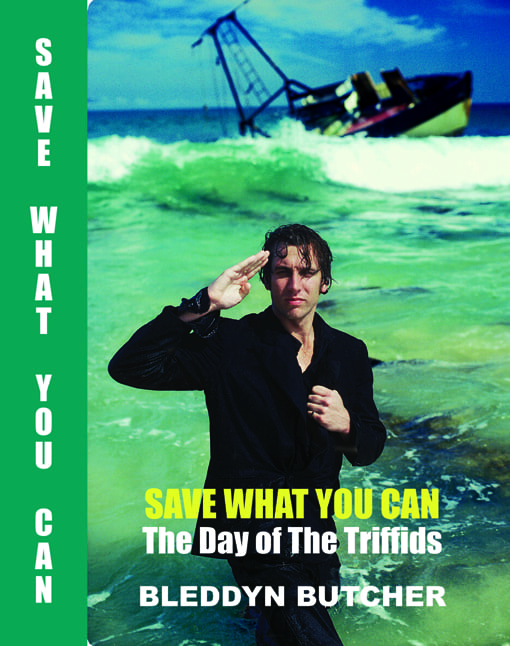 Bleddyn Butcher: Save What You Can (Hardcover, 2011, Treadwater Press)