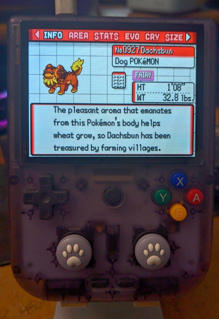 A Pokémon Emerald ROM hack being played on an Anbernic RG405V handheld device that resembles an atomic purple GameBoy color. The screen shows the PokéDex entry of Dachsbun, with the text saying "The pleasant aroma that emanates from this Pokémon's body helps wheat grow, so Dachsbun has been treasured by farming villages". 