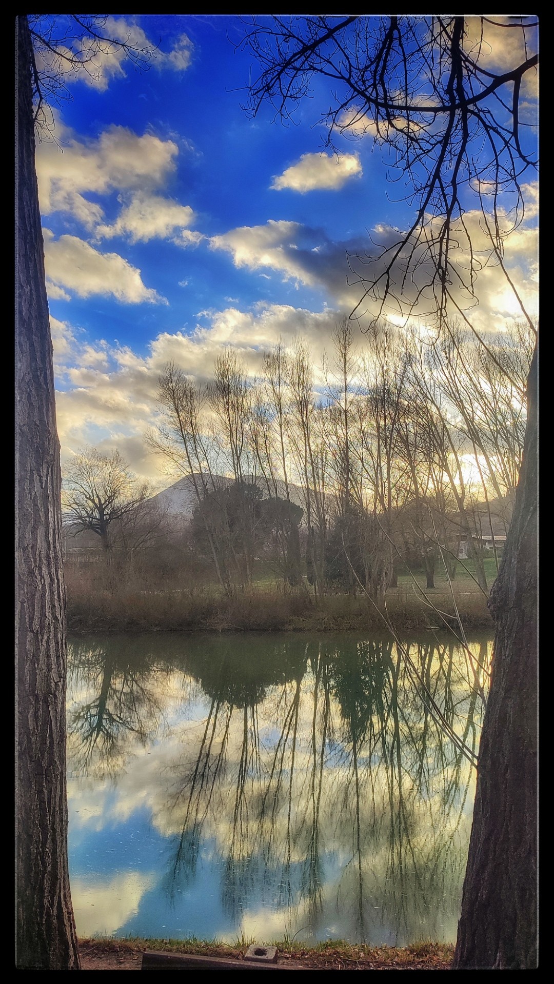 Photo of a still, wide river. In it are reflected a row of leafless winter poplar trees against a blue sky with clouds. The photo is framed on both sides by the partially seen trunks of two trees.