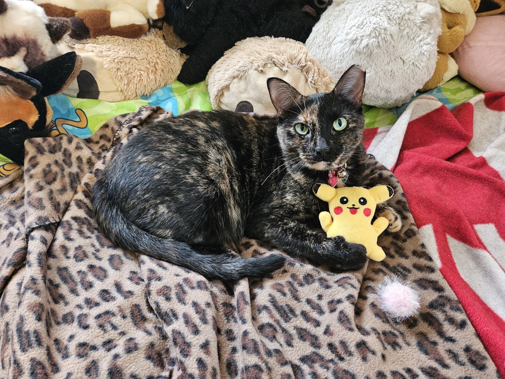 Tortie cat laying on a leopard print blanket on a bed. She has a small Pikachu stuffed animal held between her front paws. She's looking at the camera with an expression on her face that looks like, "This Pikachu is mine!"