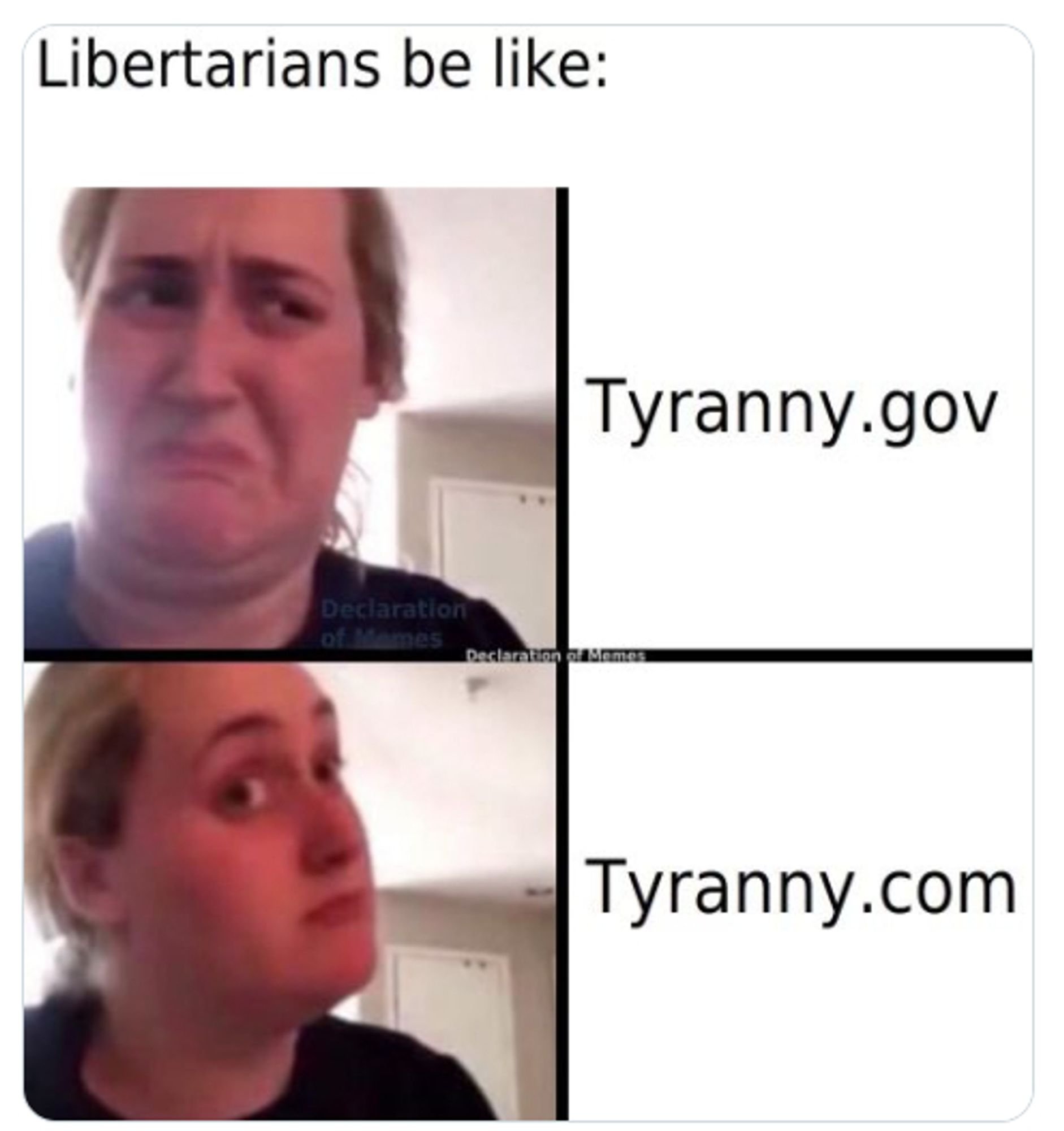 Kombucha Girl Meme titled "Libertarians be like:". Ick reaction reads "tyranny.gov". Interested reaction reads "tyranny.com"