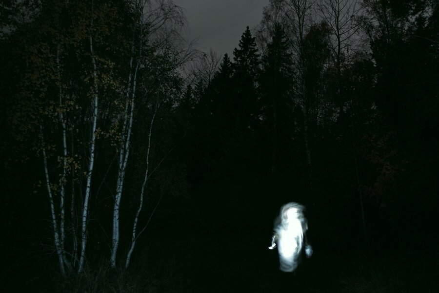 A night image of some trees and a ghost in the woods.