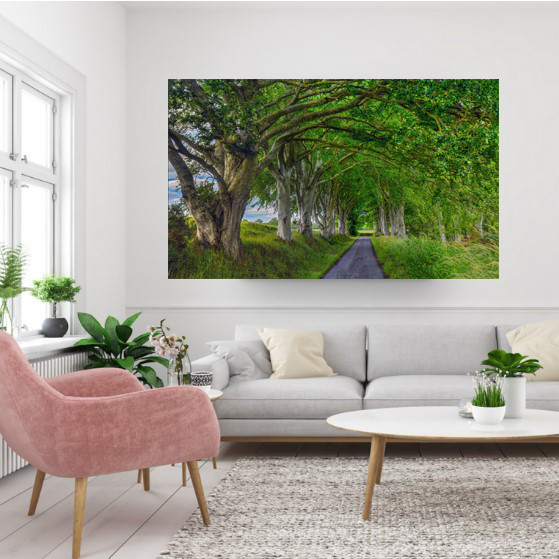 A modern interior of a house featuring a wall art of an avenue of Beech Trees with their branches forming an arch over a remote back road in the countryside