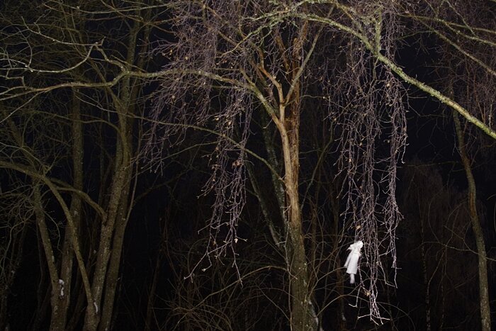 A couple of winter trees and branches at night, and almost in the centre a birch with a few leaves left and some frosty branches haning down, glittering in the night becaouse of the street light near by. A bit to theh left, almost at the bottom of the image hangs a tiny little white Ghost, stuck on the branches.