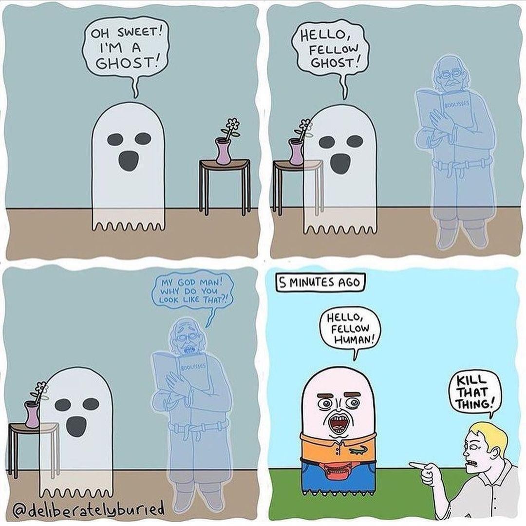 4 panel comic:

Ist panel OH SWEET! I'M A GHOST! (With illustration of traditional ghost)

2nd panel: HELLO, FELLOW GHOST! (Illustration of traditional ghost seeing a human looking ghost)

3rd panel: MY GOD MAN! WHY DO YOU LOOK LIKE THAT?! (Illustration of human ghost talking to traditional ghost)

4th panel: IS MINUTES AGO

HELLO, FELLOW HUMAN!

KILL THAT THING! (Illustration of a living man version of a traditional ghost saying hi to a normal human looking person)

Comic from @deliberatelyburied